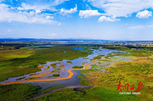 包括挺水植物、浮水植物和沉水植物