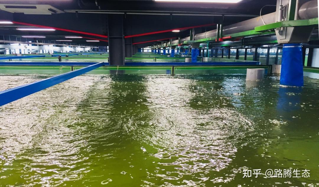 帮扶组详细检查设施运行、工艺台账及在线数据