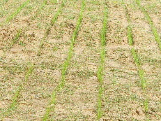 牢牢守住了闭坑治理的资金安全底线