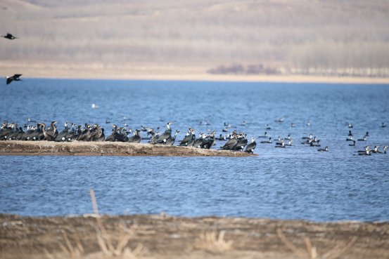 不断厚植株洲生态优势