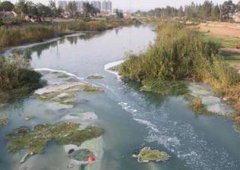 诚挚欢迎全国各地的朋友