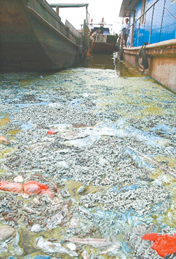 确保环境空气质量持续改善